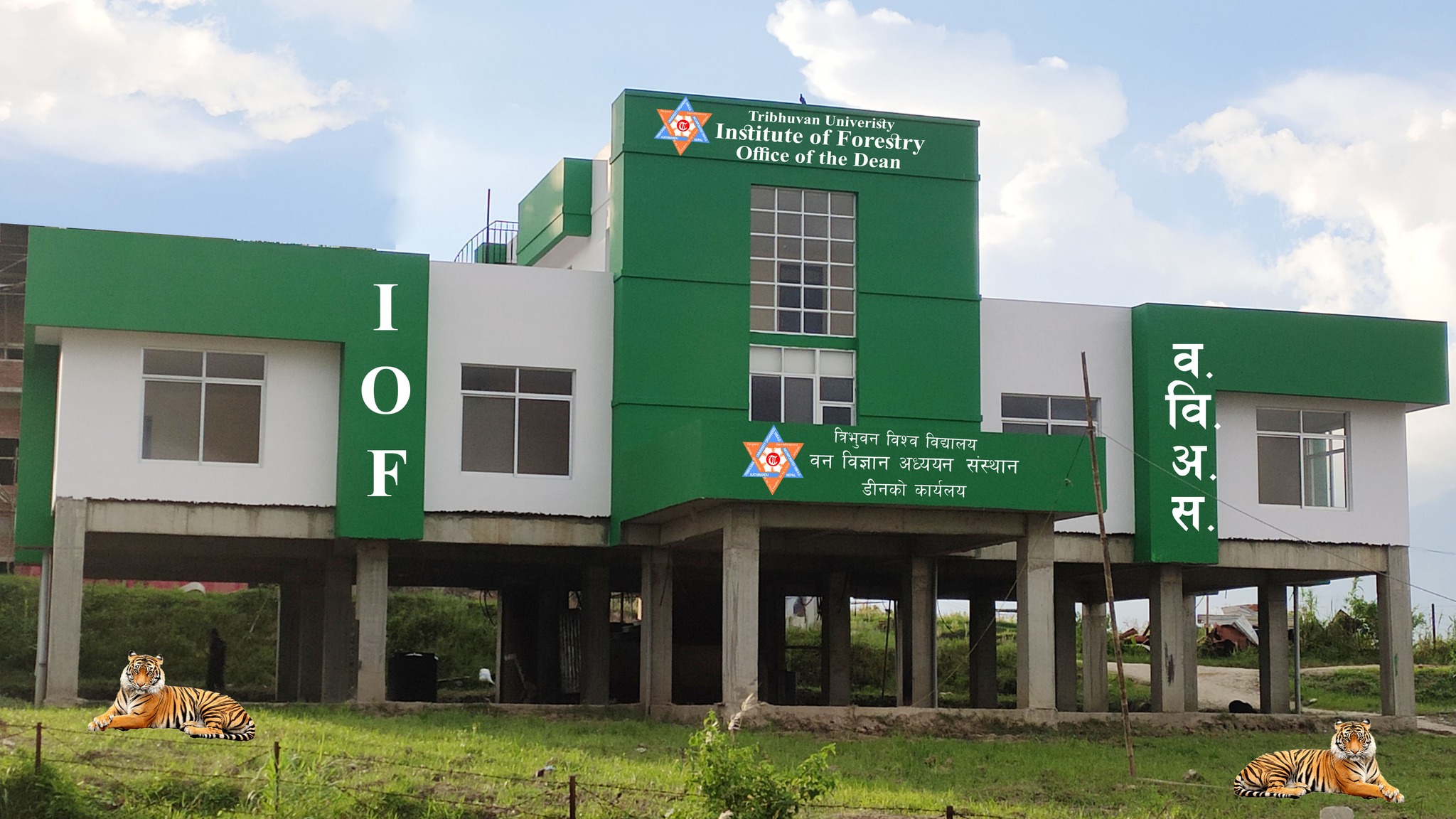 School of Forestry and Natural Resource Management | Institute of Forestry
