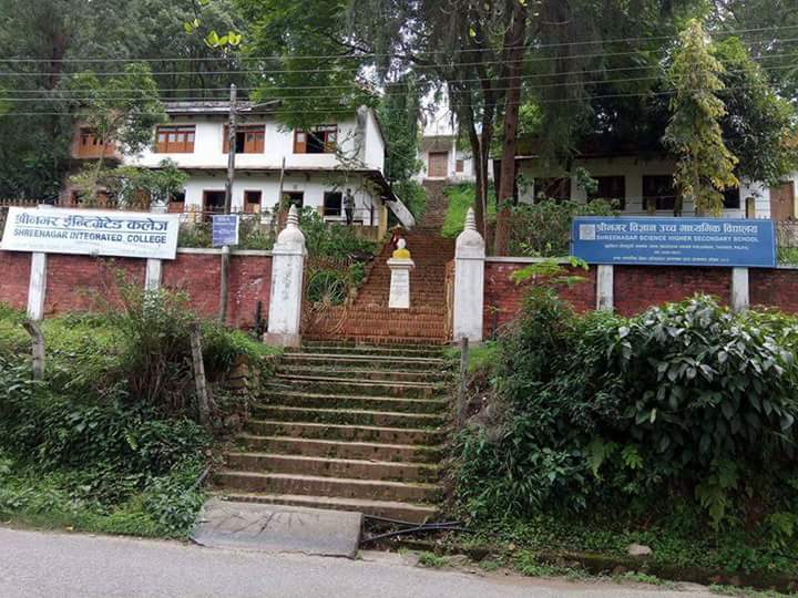 Shreenagar Integrated College