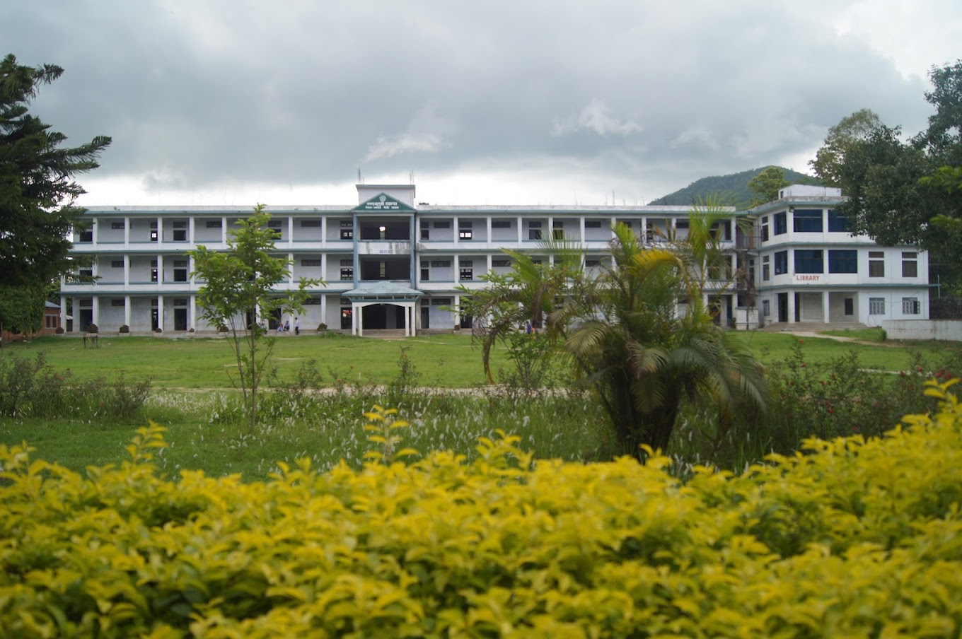 Makwanpur Multiple Campus