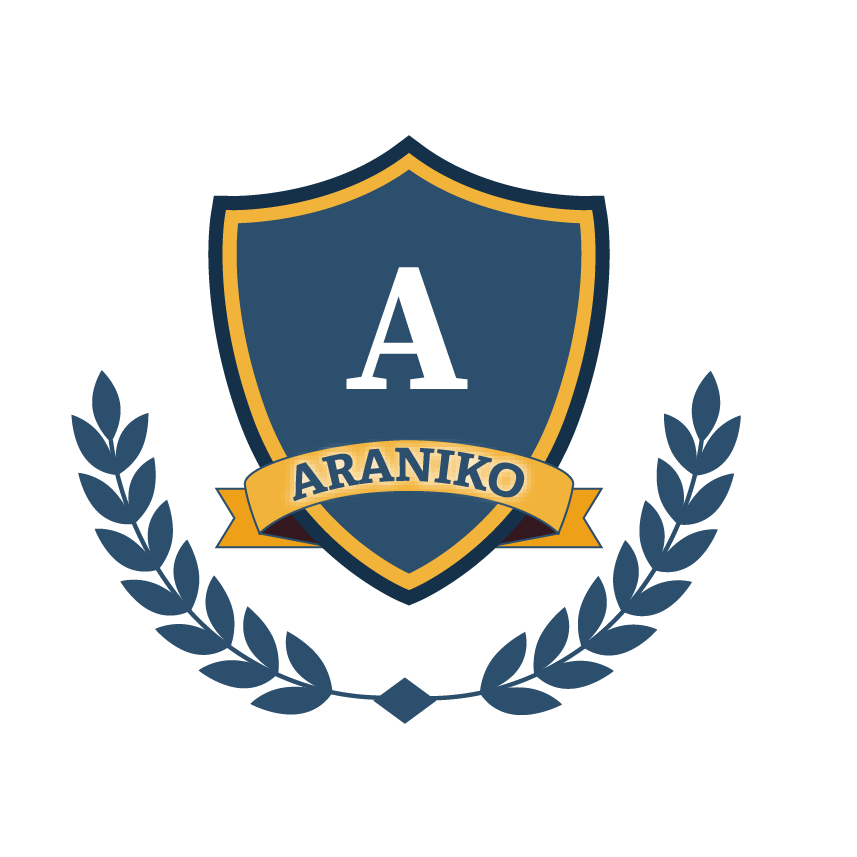 Araniko College of Business and Technology