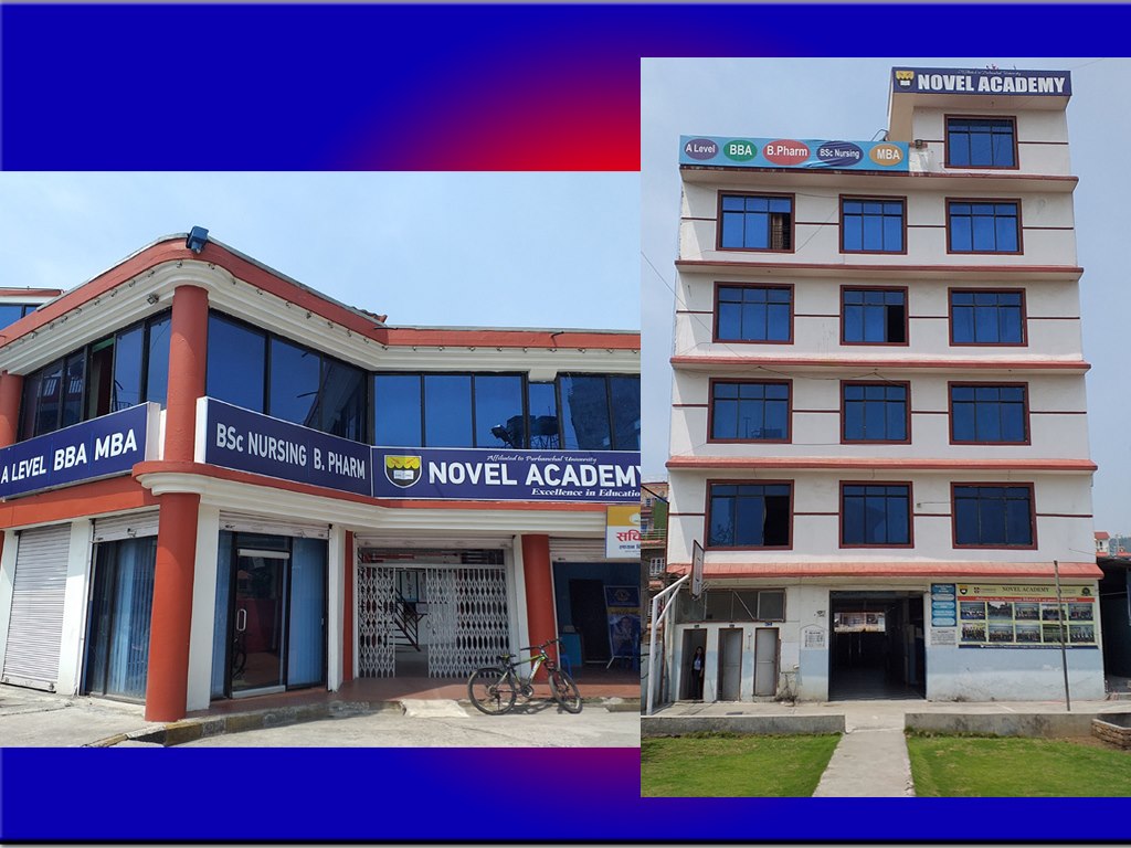 Novel Academy