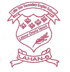 Little Star Secondary English School